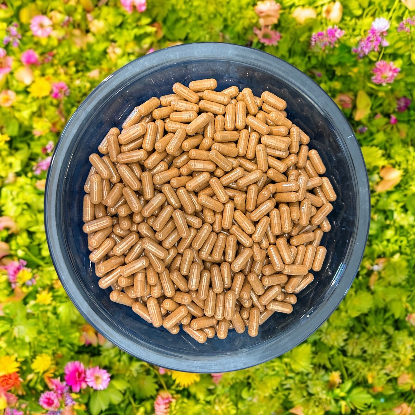 False Unicorn Root Capsules