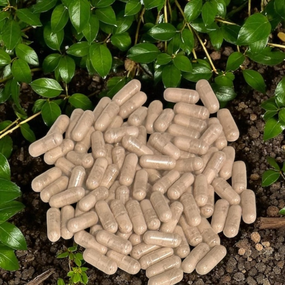 Ashwagandha Capsules