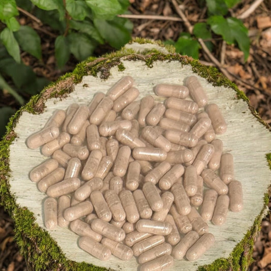 Slippery Elm Capsules