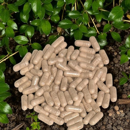 Ashwagandha Capsules